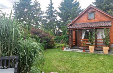 Domek pod jabłonią Mikoszewo - Foto 20