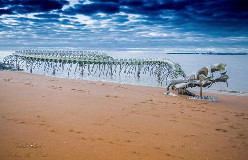 HOME-COSY - 6 pers - 40 m2 3 CH - 2 SDB et 2 WC - Foto 48