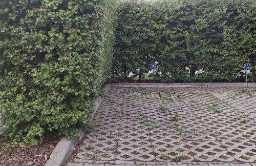 FeWo - SEEnsucht am Zwenkauer See - Foto 38