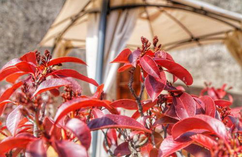 Agriturismo Casa da Pietro - Photo 56