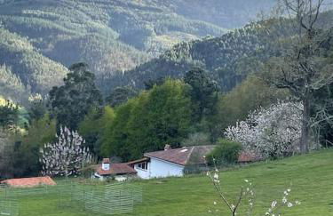 San Bartolome Etxea - Foto 42