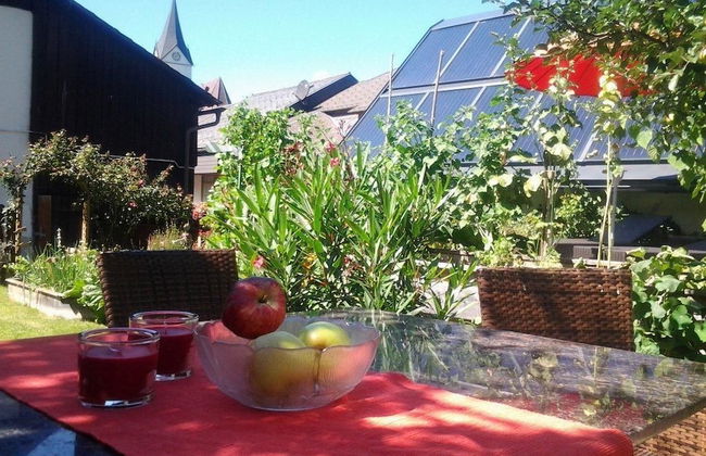 Bio Bauernhof Hotel Matlschweiger - Foto 62