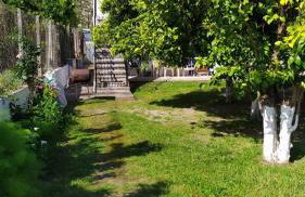 Peter's traditional house - Foto 17