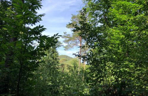 Apartment in Landau Stadtoase - Foto 21