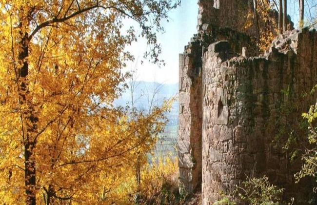 Quaint Apartment in Zeil am Main With Terrace - Foto 71