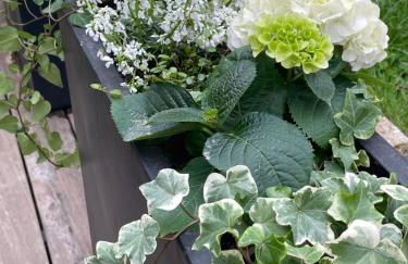 Le Passage Secret - Foto 18