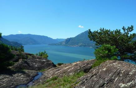 Il girasole - Foto 24