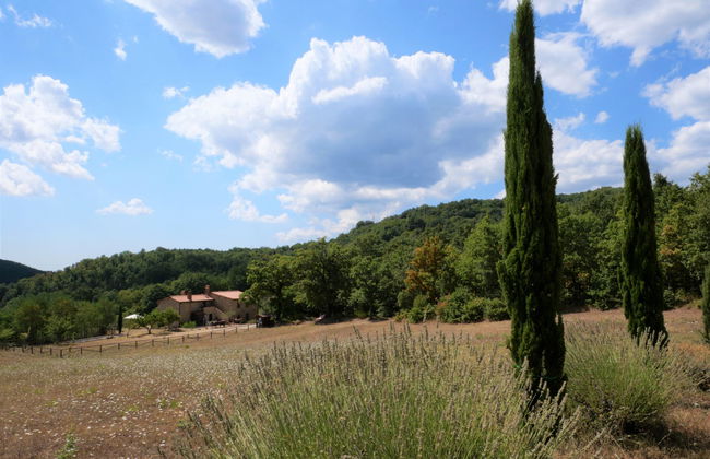 Pian dei Carpini - Laura - Foto 16