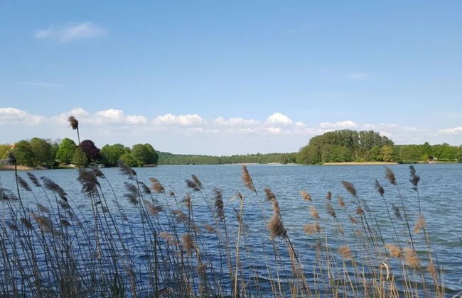 Lutter See Modern Retreat - Foto 11