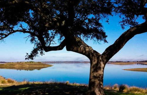 A Nossa Estrela nº7 - Foto 8