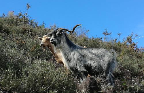 Casinha do João no Gerês - Foto 18