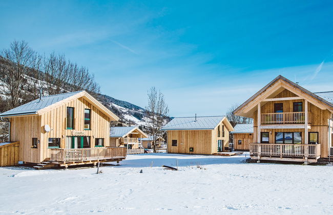 mit 4 SZ,Sauna o.IR-Sauna+Sprudelbad - Foto 28