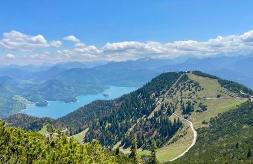 Teddis Traubing - Foto 20