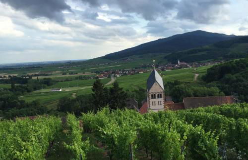 Gîte FLEUR DE VIGNES - Foto 23