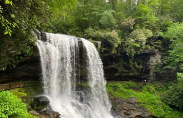Luxury Mountain Retreat with views, fire pit, and creek - Foto 34