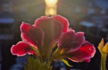 Tailte Trá - Foto 20