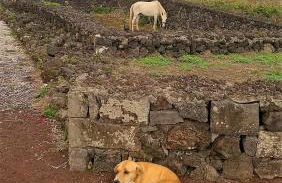Quinta da Falesia - Casa Branca - Photo 34