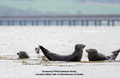Foulis Castle Gate Lodge - Foto 19