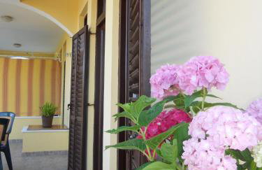 Apartments Gržanov - Photo 18