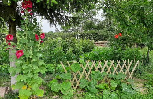 Gîte à la ferme - Foto 20