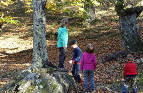 Agriturismo la Fattoria al Crocefisso - Foto 18