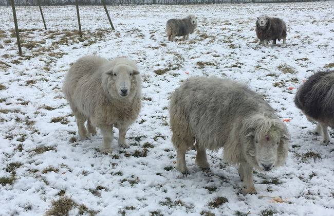 Woodfield House - Photo 32