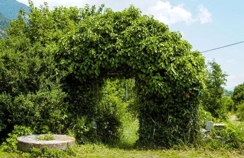 Mareinhof Vetzan-Apples,apartments&more - Foto 16