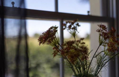 Luxury three bedroom coastal cottage - Foto 23