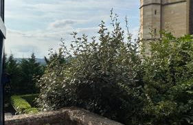 Gîte au cœur de la ville ancienne - Foto 10