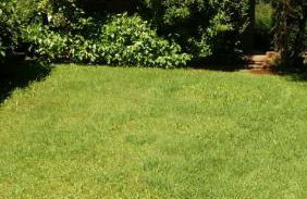 CASA DE CAMPO LAS ROZAS - Foto 9