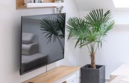 APARTAMENTY z GÓRSKIM KLIMATEM - Foto 8