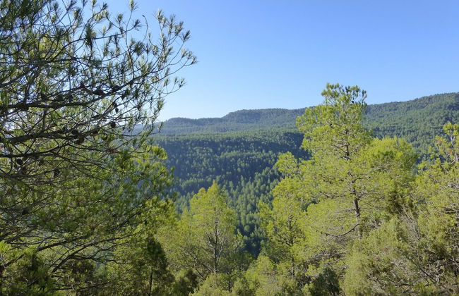 La Casa de Los Moyas - Foto 19