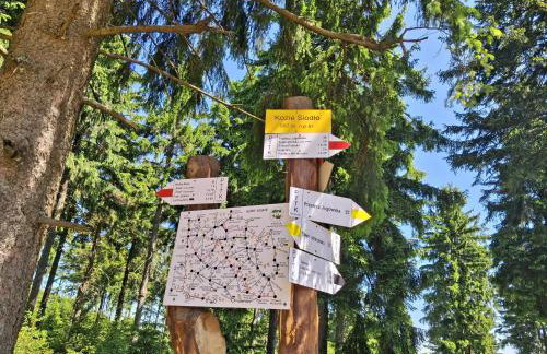 Sowie Pokoje - Foto 26