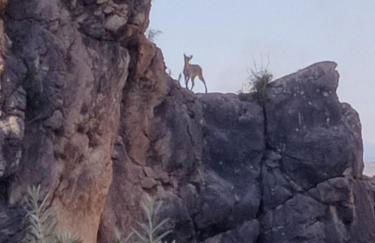 El Mirador - Foto 32