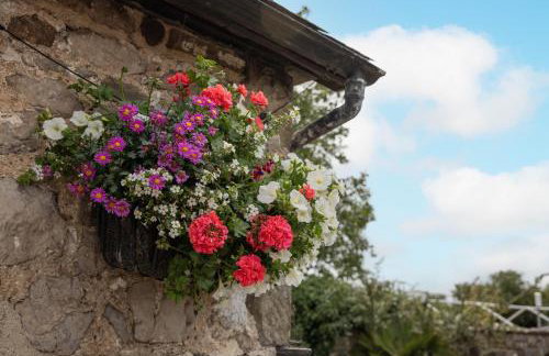 Swallow Cottage - Foto 9