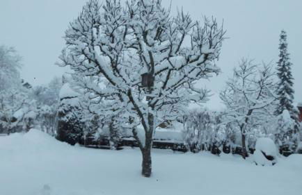 Ferienwohnung Schwarzwaldglück - Foto 6