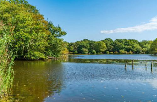 Modern Studio with parking in shared garden - Foto 17