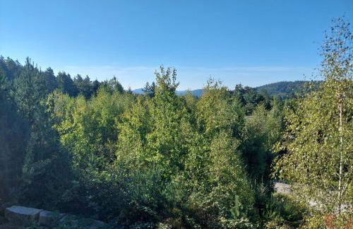 Ferienwohnung Dreiburgenblick - Foto 23