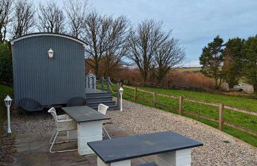 Luxury Countryside Shepherds Hut with Hot Tub - Foto 7
