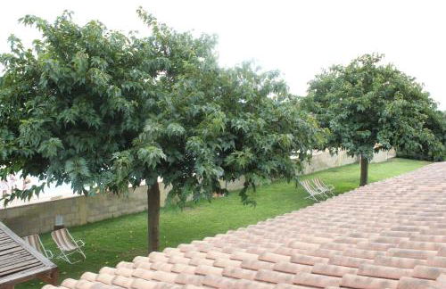 Agriresidence Debbiare - Foto 54