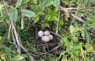 Villa Safari Charm - Photo 29