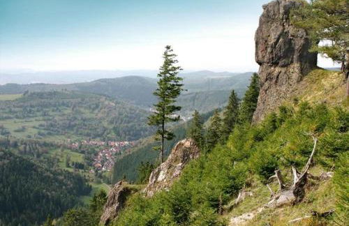 Ferienhaus Am Hermannsberg, Oberschoenau - Foto 80