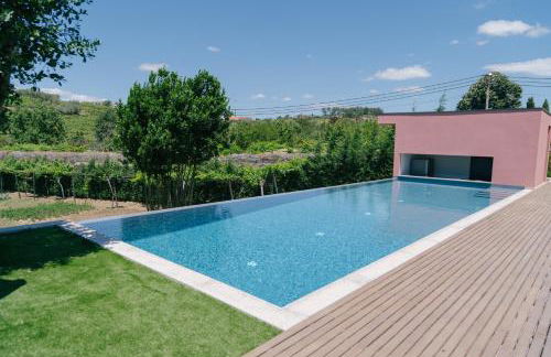 Quinta Vale de Sousa - Douro Valley - Foto 141