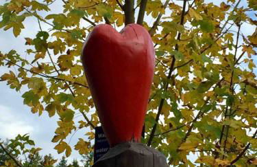Seeblickappartement -Eure Zeit- mit Balkon - Foto 12