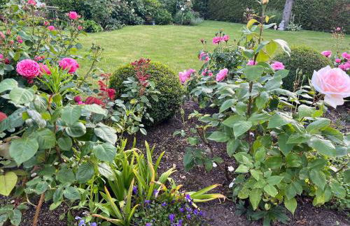 Kranichstube - Photo 8