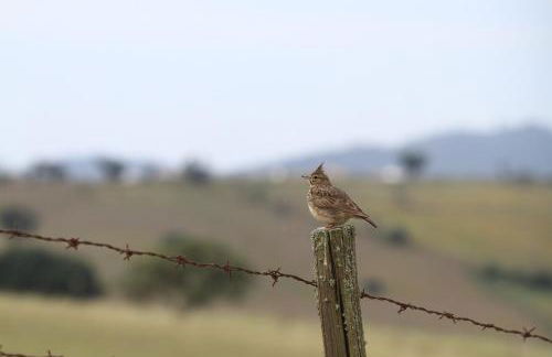 Casa dos Avós - Foto 64