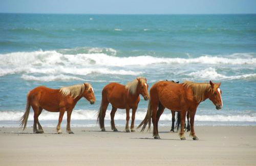 Wicked Fun at Windswept Ridge - Foto 49