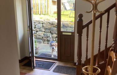 Springbank Apartment - Sleeps 4 - Pet Friendly - Photo 23