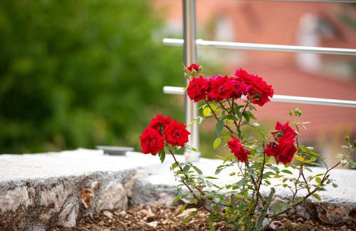 Phos & Physis Luxury Villa - Foto 46