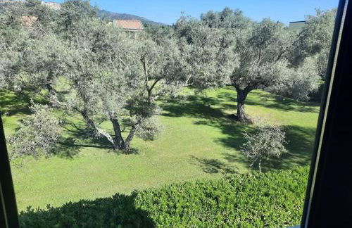 Dolce Relax - Calabria - Foto 1